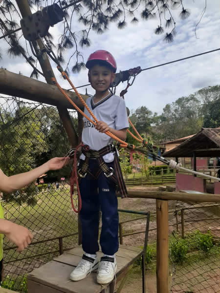 Bicho Mania 2022